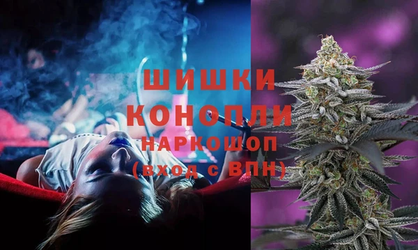 дмт Алзамай