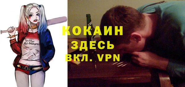 дмт Алзамай