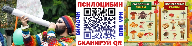 blacksprut ССЫЛКА  Вихоревка  Псилоцибиновые грибы Psilocybe 